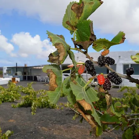 Casa Volcán De Ye * Ye